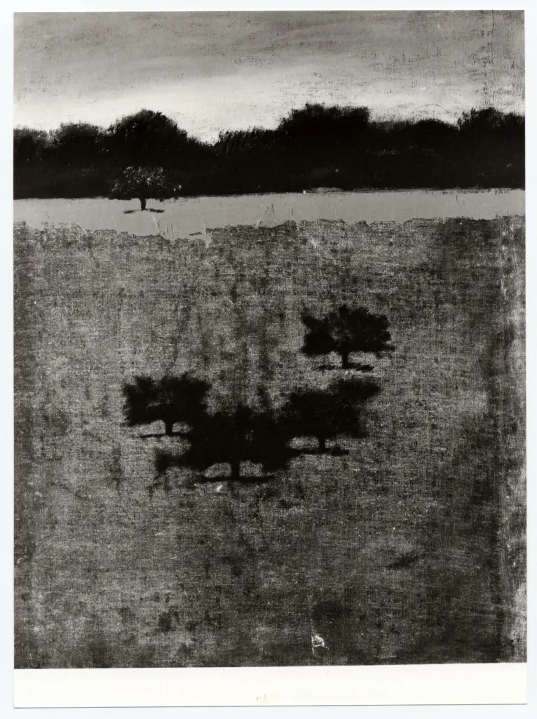 Anonimo, Anonimo , fronte