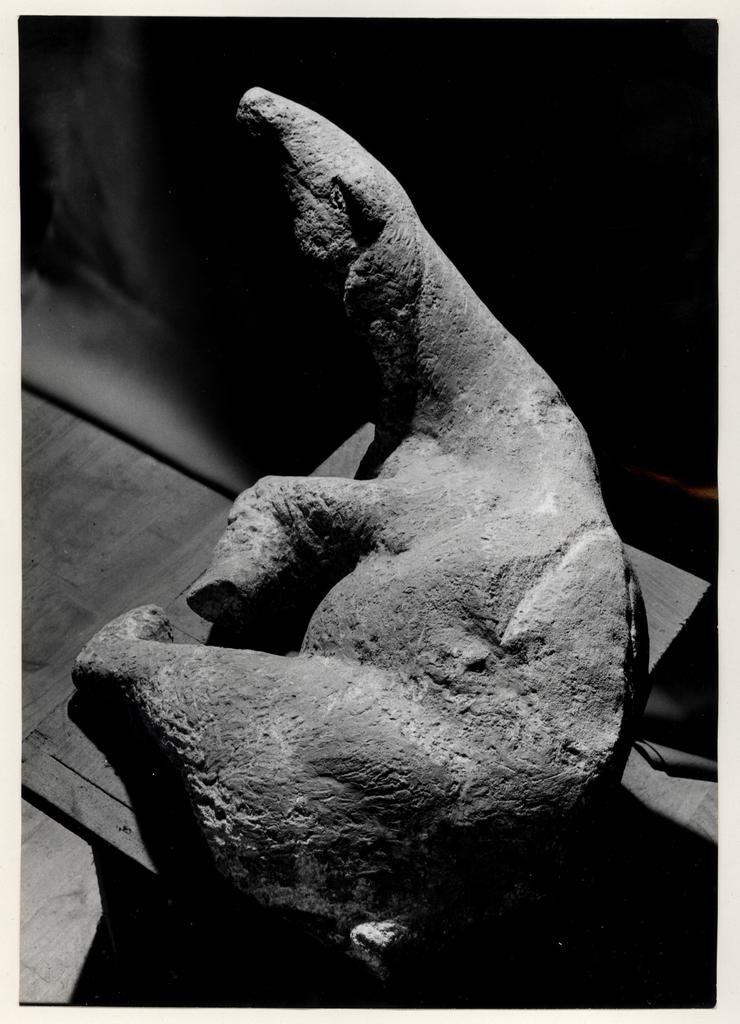Anonimo, Anonimo , fronte