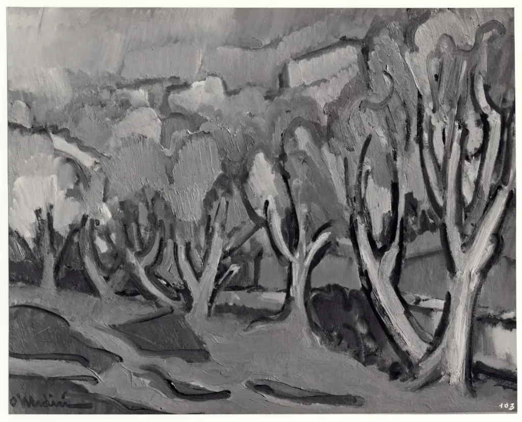 Medici del Vascello, Osvaldo , Ulivi -