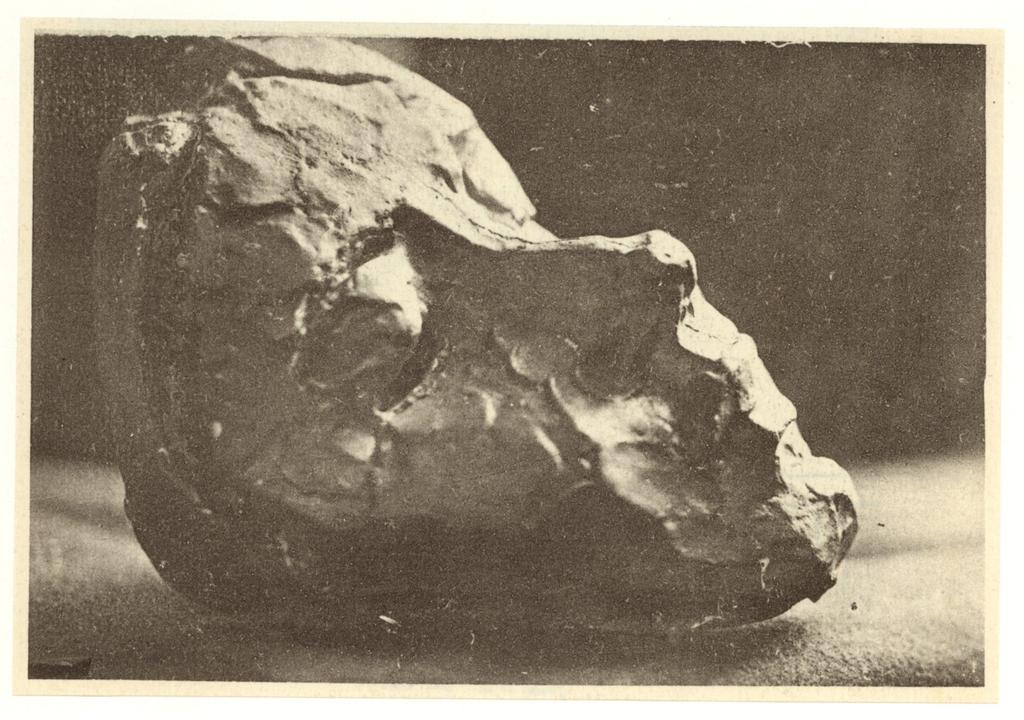Anonimo , fronte