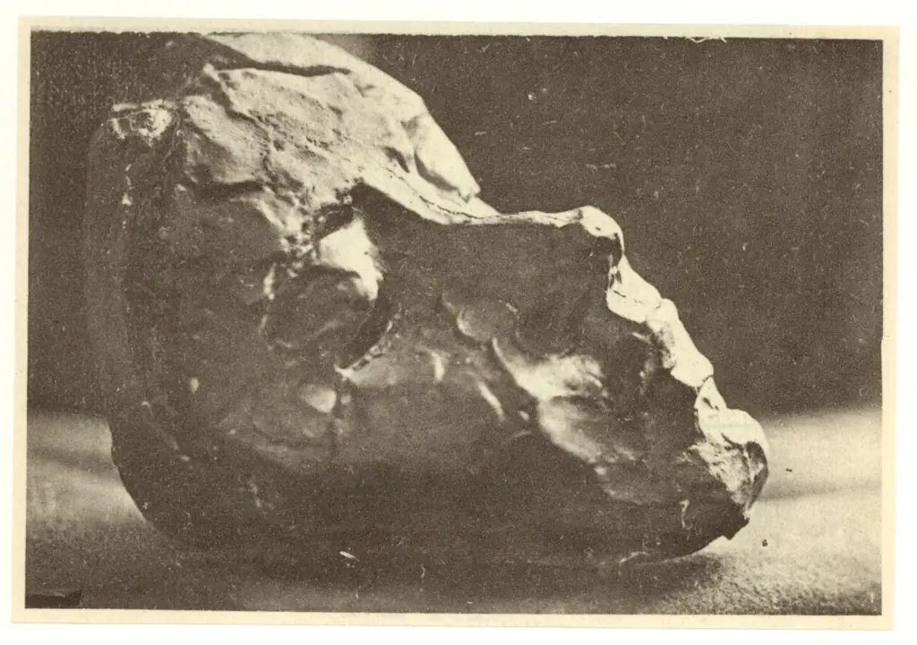 Anonimo, Anonimo , fronte