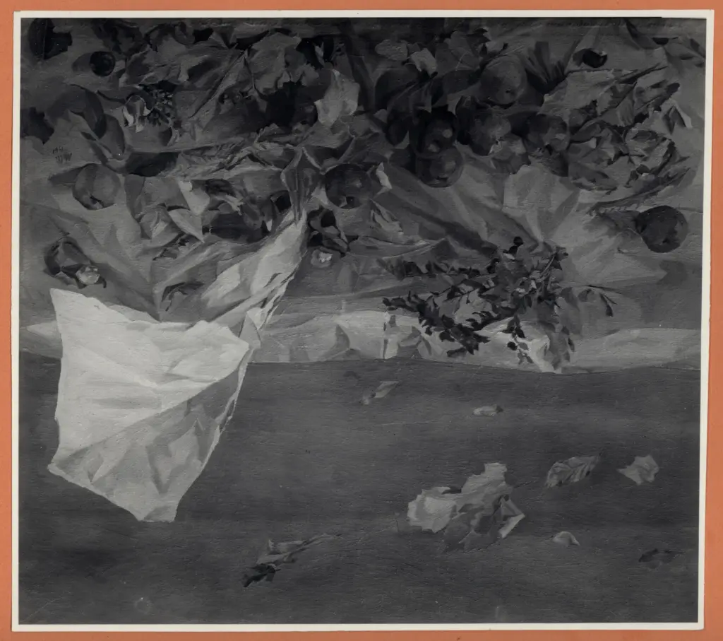 Anonimo, Anonimo , fronte