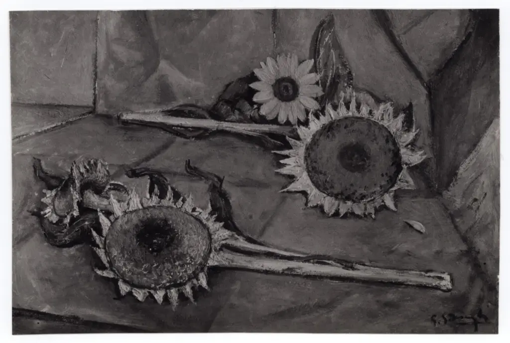 Anonimo, Anonimo , fronte