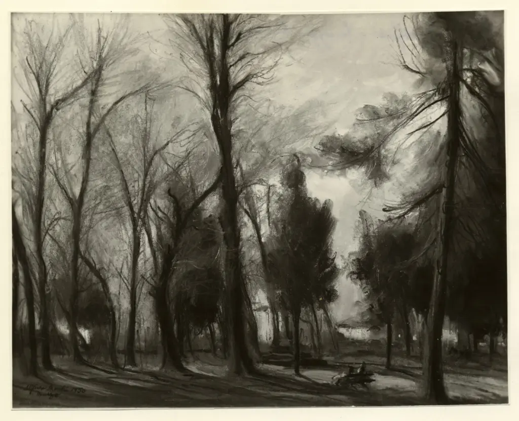 Anonimo, Anonimo , fronte