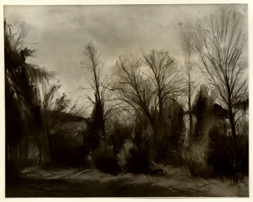 Anonimo, Anonimo , fronte