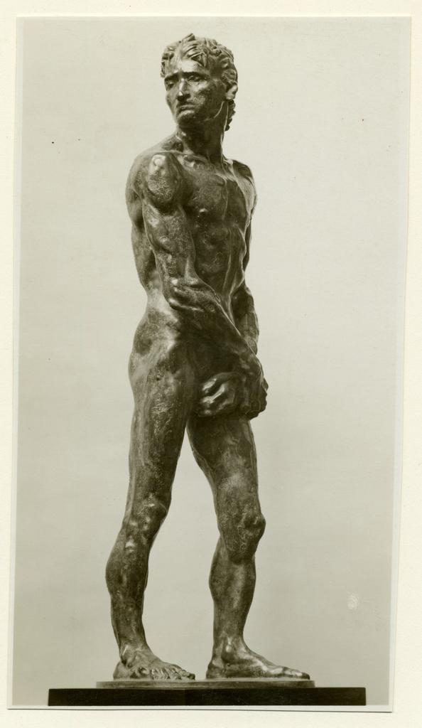 Anonimo , fronte