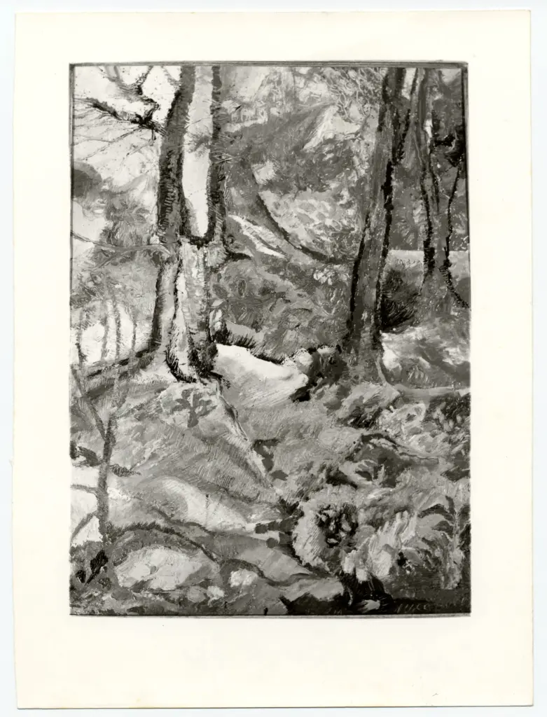 Anonimo, Anonimo , fronte