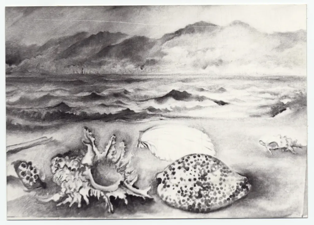 Micarelli, Lia , Conchiglie sulla riva del mare