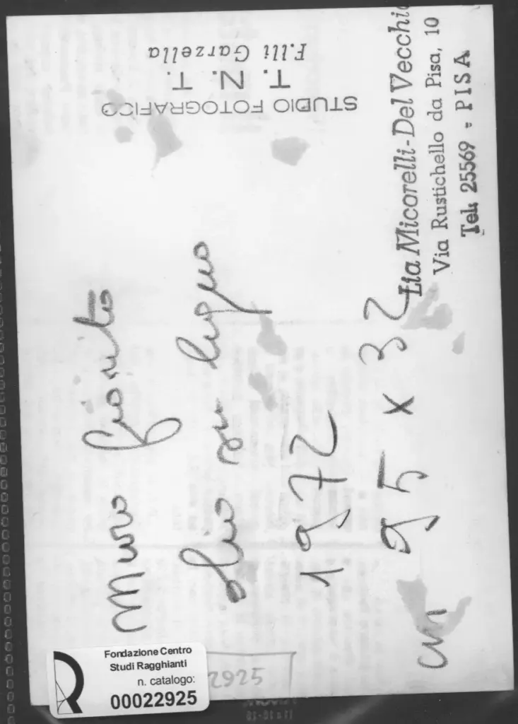 Garzella, Fratelli , retro