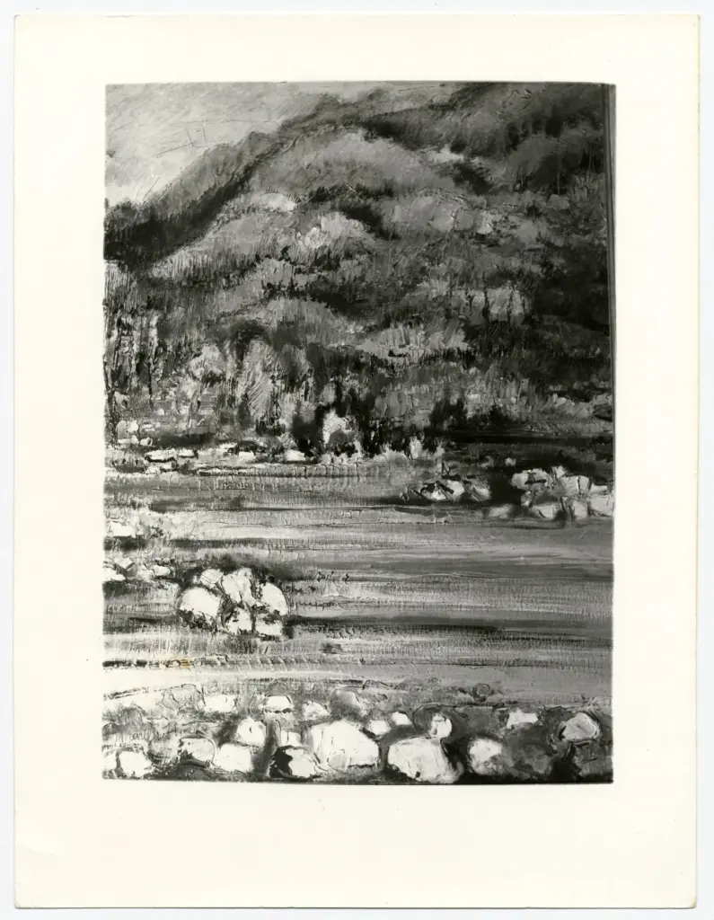 Anonimo, Anonimo , fronte