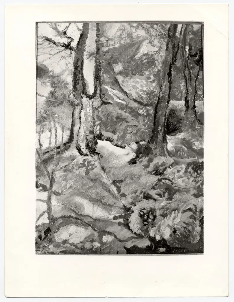 Anonimo, Anonimo , fronte