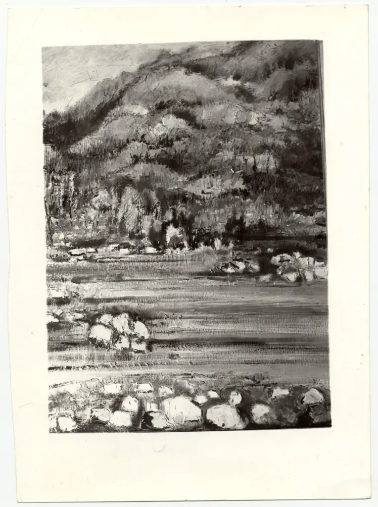 Anonimo , Micarelli, Lia - sec. XX - Il torrente , fronte