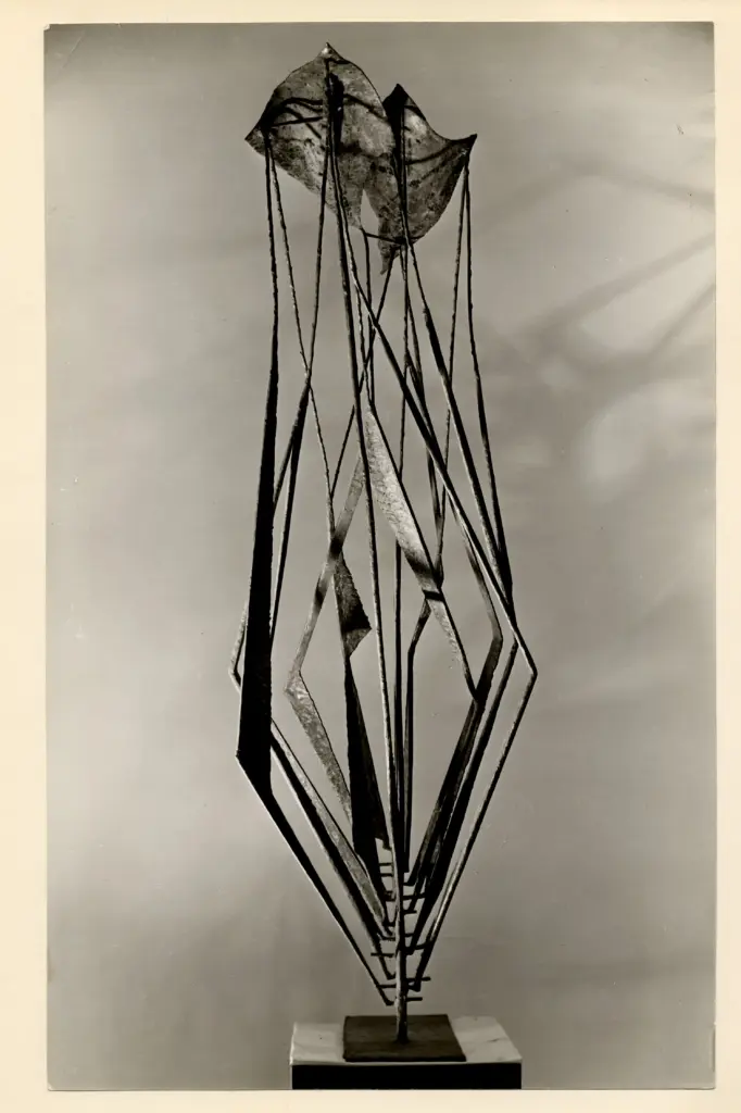 Anonimo, Anonimo , fronte