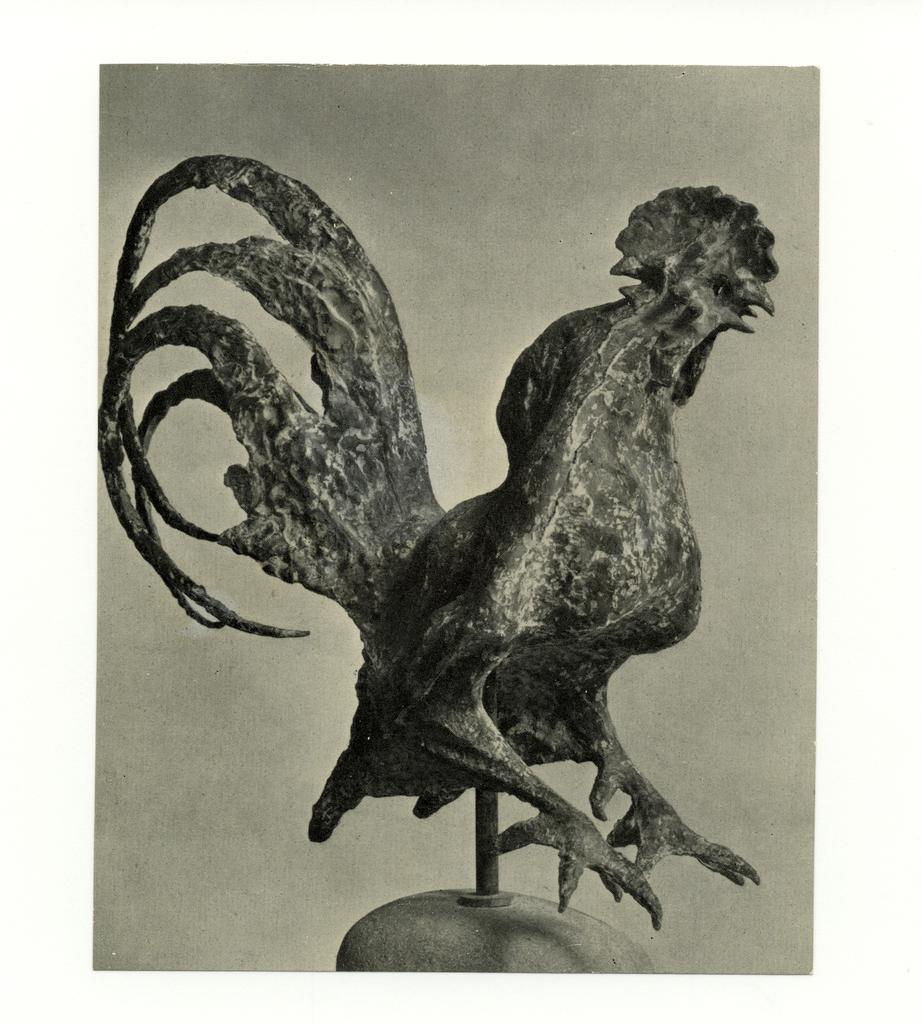 Minguzzi, Luciano , Gallo