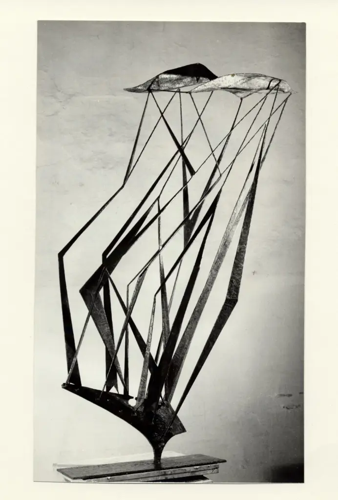 Minguzzi, Luciano , Gli aquiloni