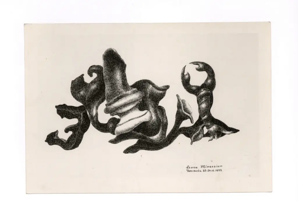 Anonimo, Anonimo , fronte