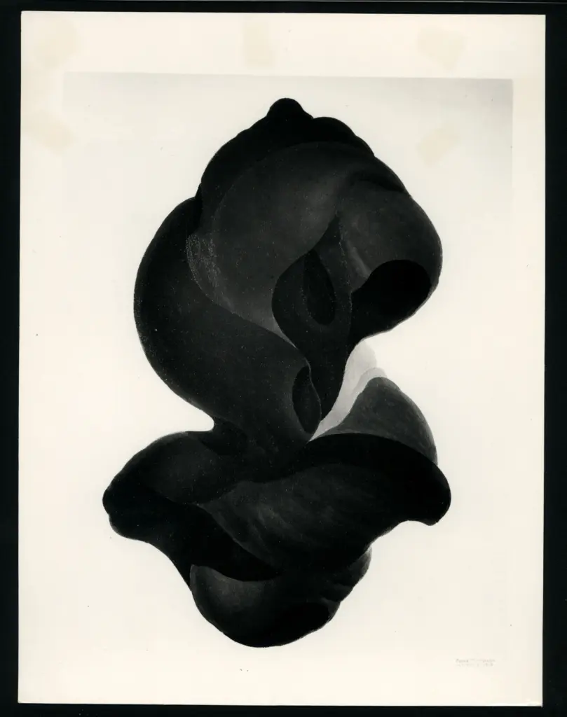 Minassian, Leone , Forma assoluta