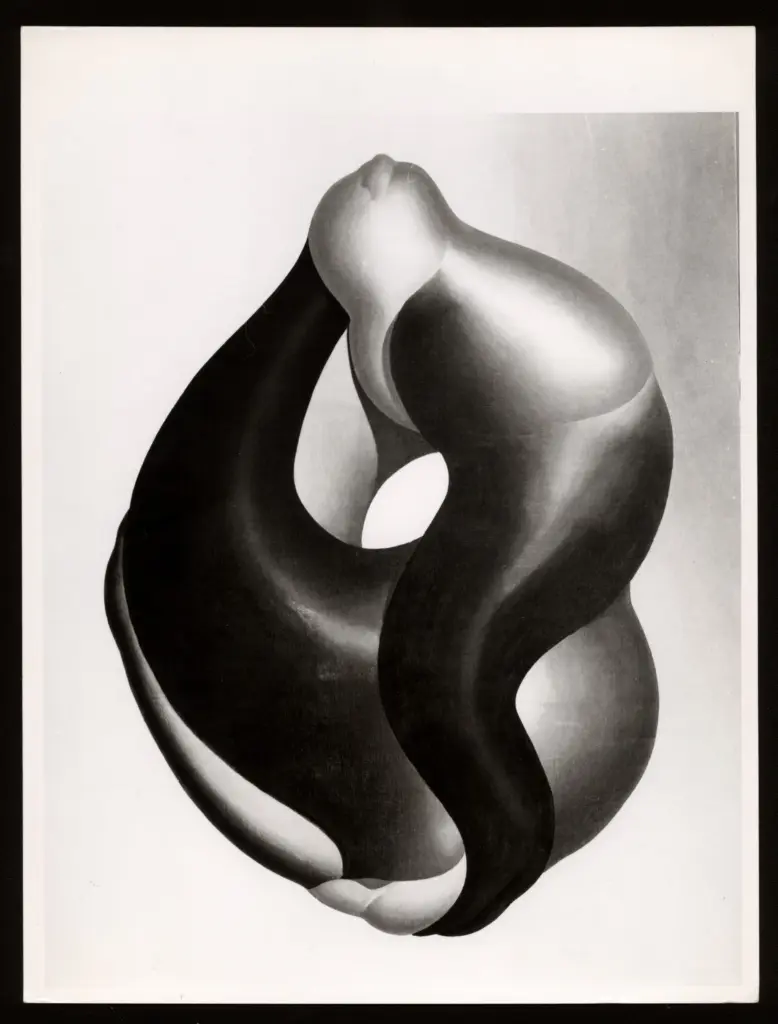 Anonimo, Anonimo , fronte