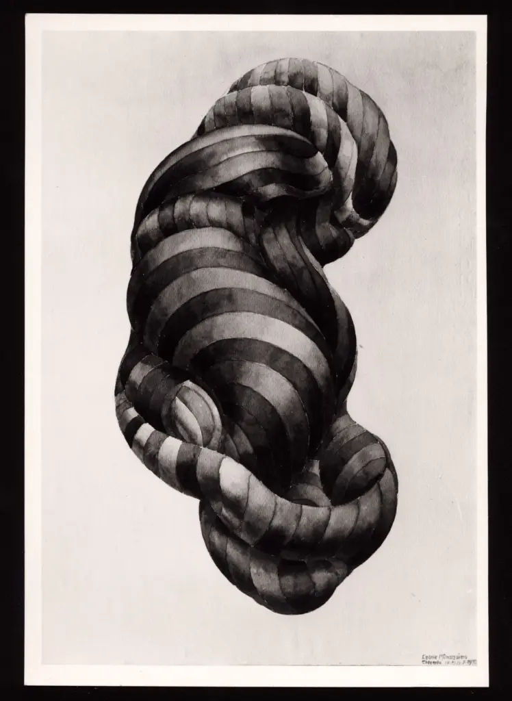 Minassian, Leone , Forma complessa a curve e strisce