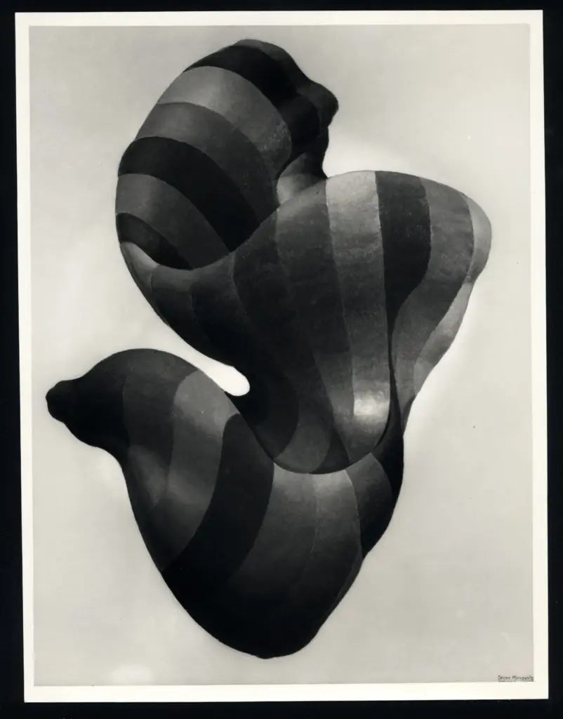 Anonimo, Anonimo , fronte