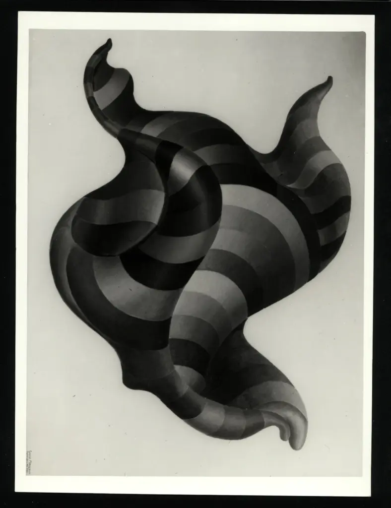 Anonimo, Anonimo , fronte