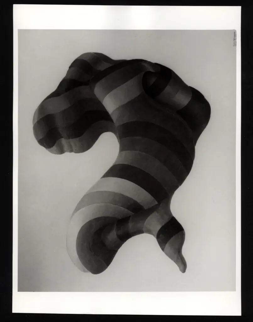 Anonimo, Anonimo , fronte