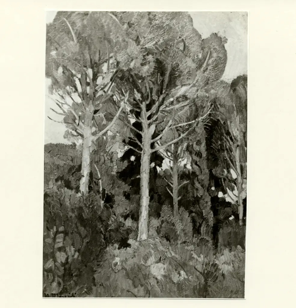 Anonimo , Moggioli, Umberto - sec. XX , fronte