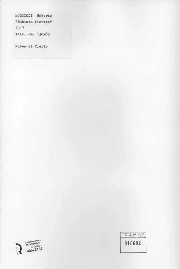 Anonimo , Moggioli, Umberto - sec. XX - Rubina fiorita , retro