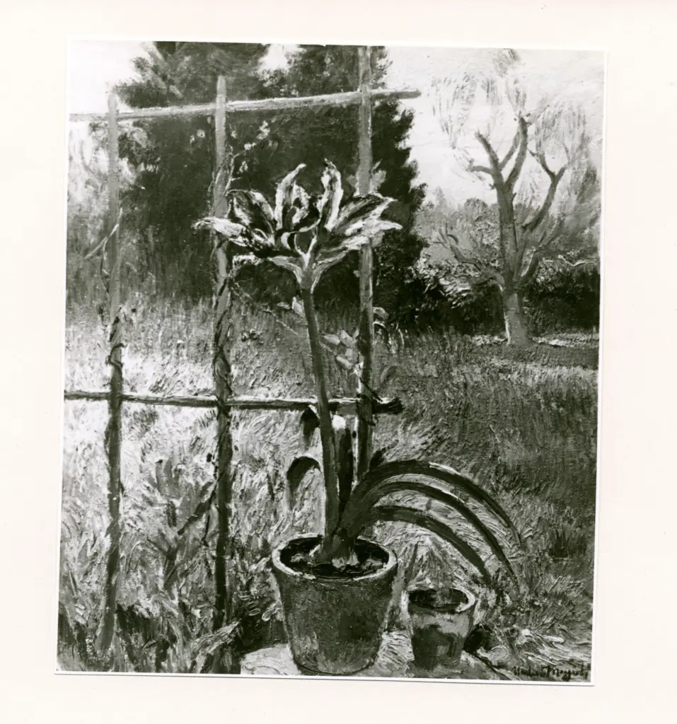 Anonimo , Moggioli, Umberto - sec. XIX/ XX - Pianta in vaso , fronte