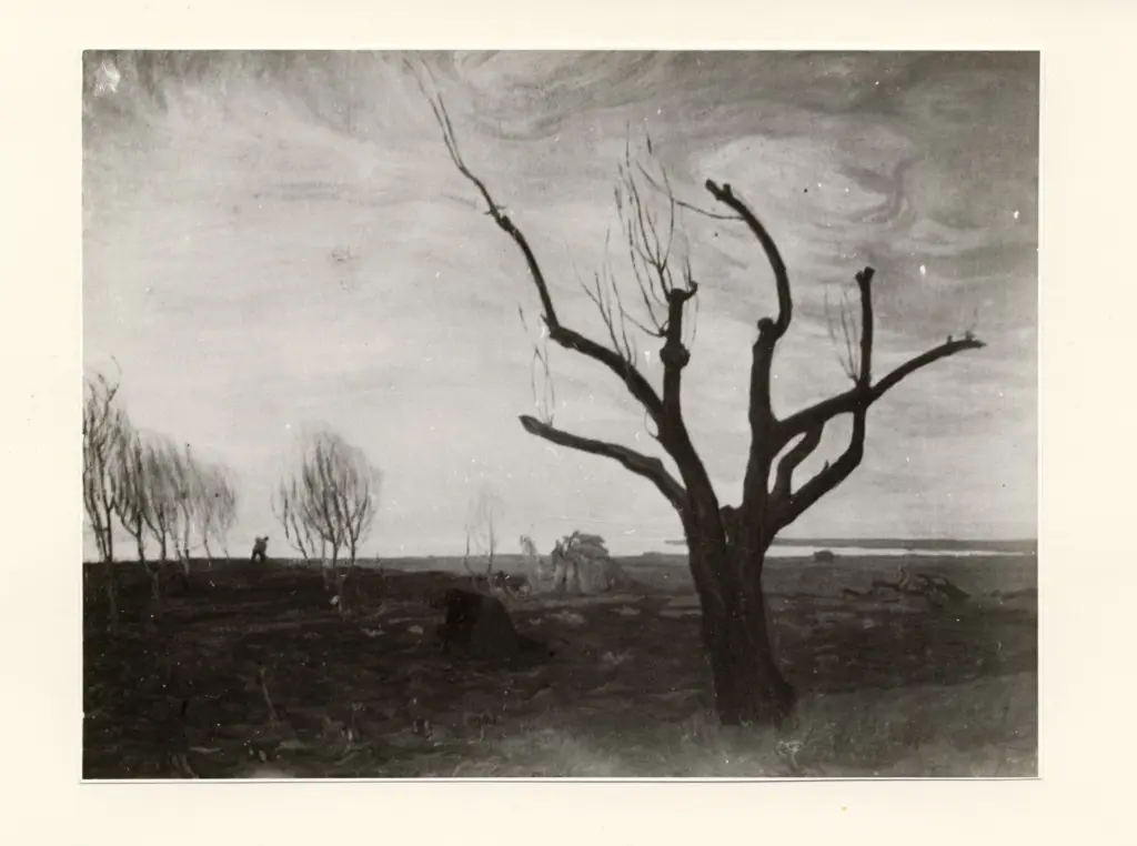 Anonimo , Moggioli, Umberto - sec. XX - Campagna a Treporti