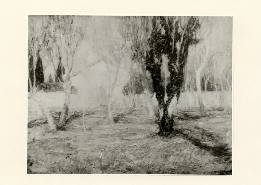 Anonimo , Moggioli, Umberto - sec. XX - Sole d'inverno , fronte