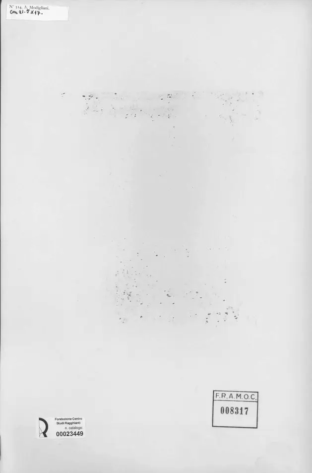 Anonimo, Anonimo , retro