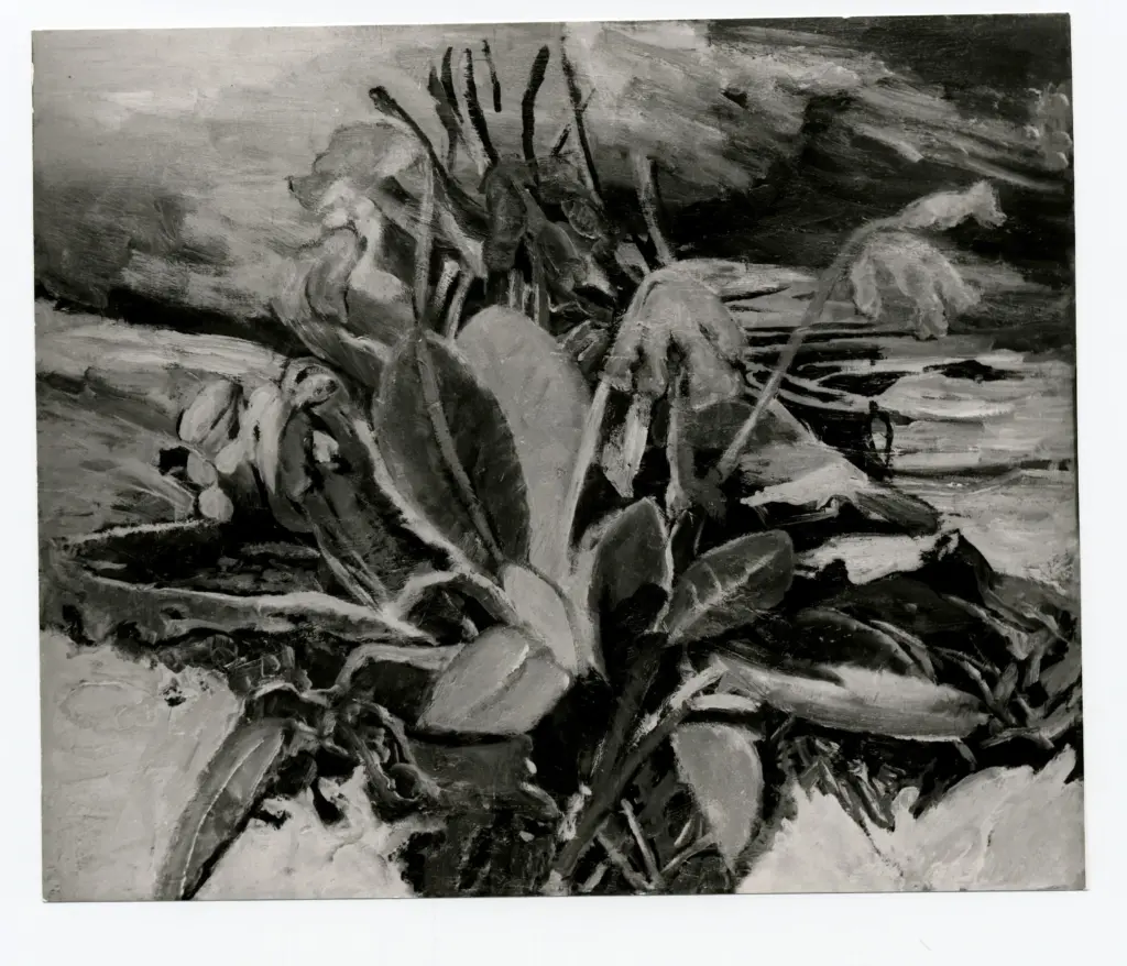 Anonimo, Anonimo , fronte