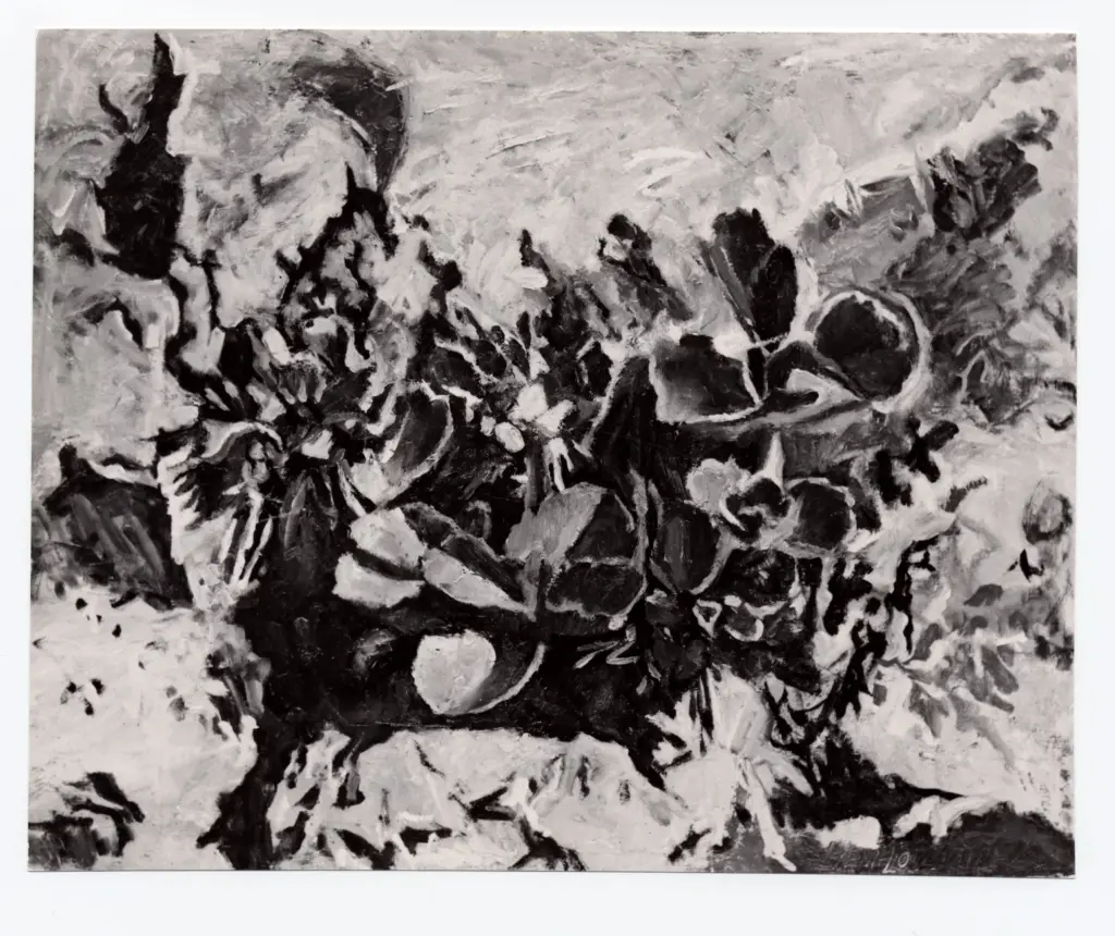 Anonimo, Anonimo , fronte