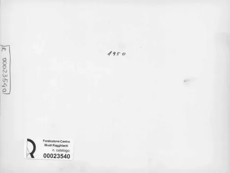 Anonimo, Anonimo , retro