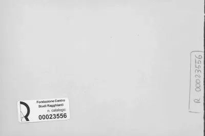 Anonimo, Anonimo , retro