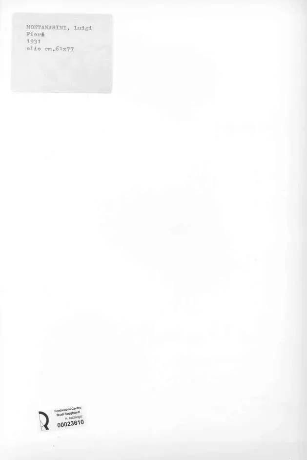 Anonimo , Montanarini, Luigi - sec. XX - Fiori , retro
