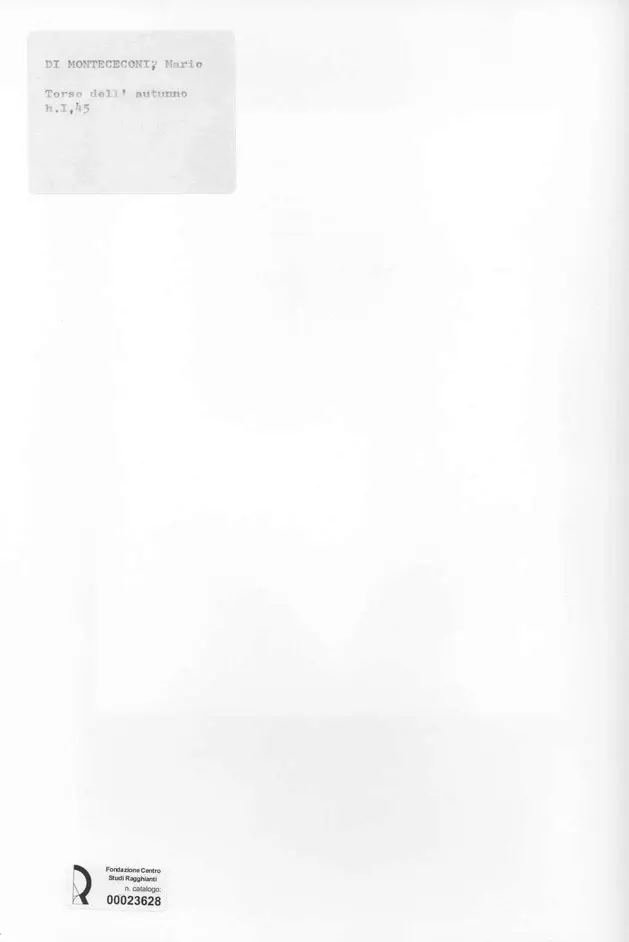 Anonimo, Anonimo , retro