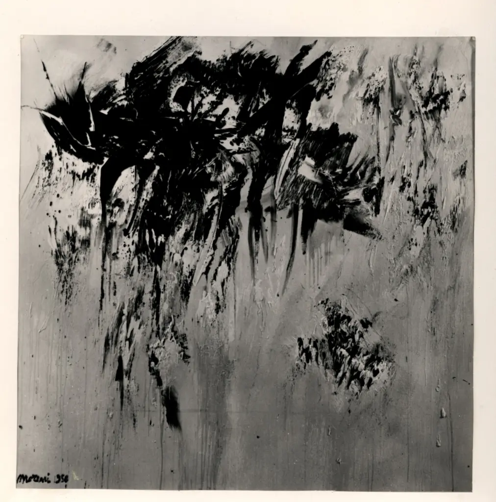 Fotografia Ferruzzi , fronte