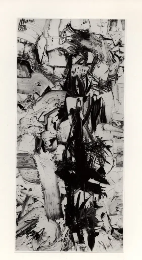 Giacomelli , Moreni, Mattia - sec. XX - Sterpaglia sulle roccie , fronte