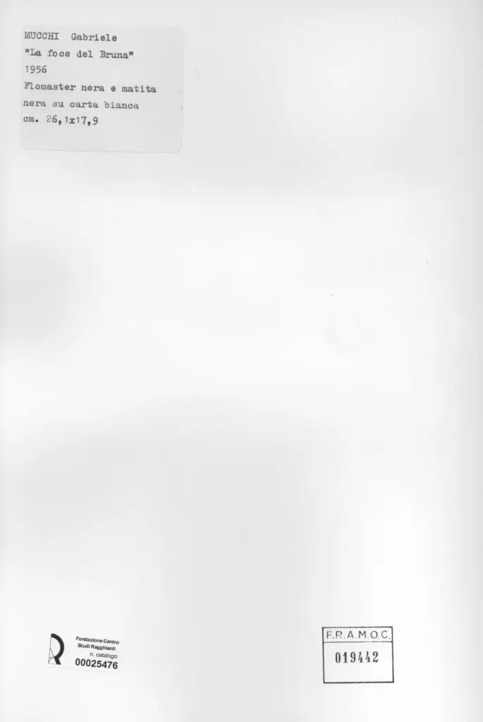 Anonimo, Anonimo , retro