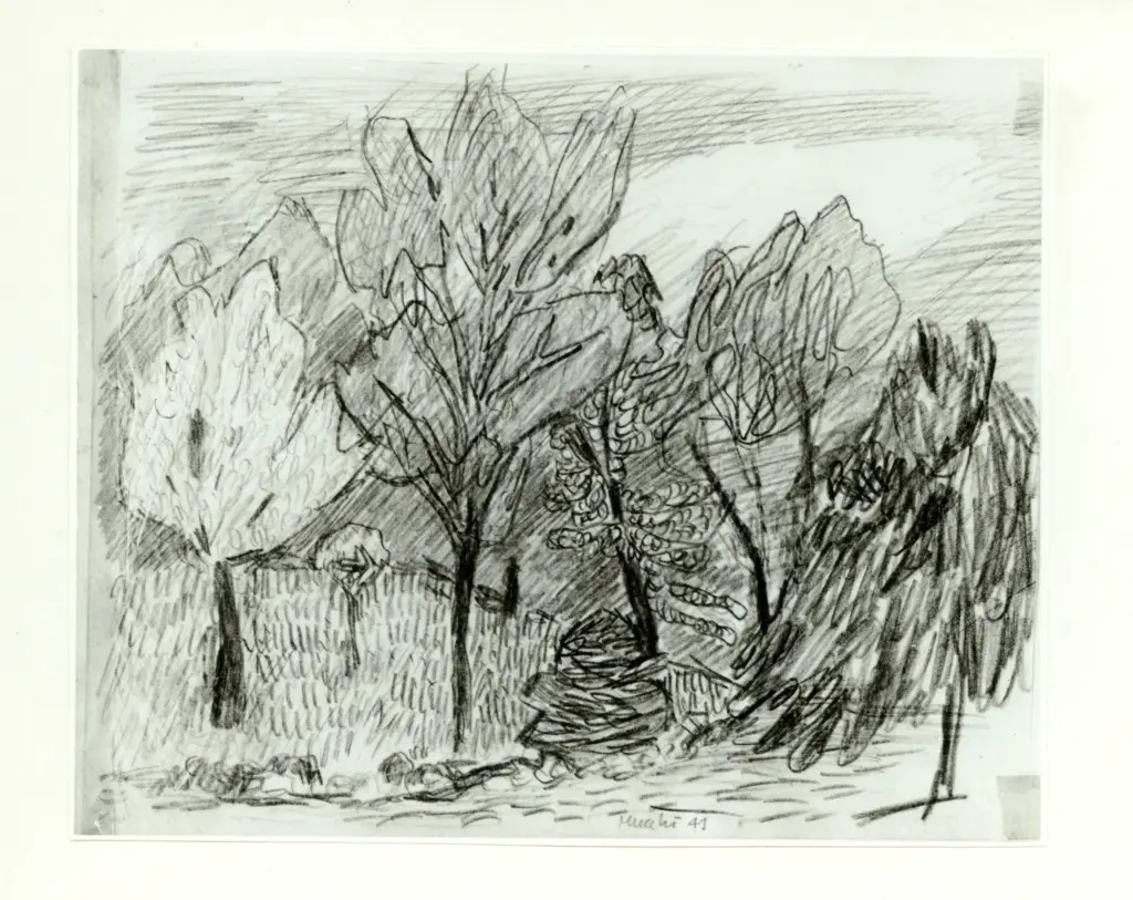 Anonimo, Anonimo , fronte