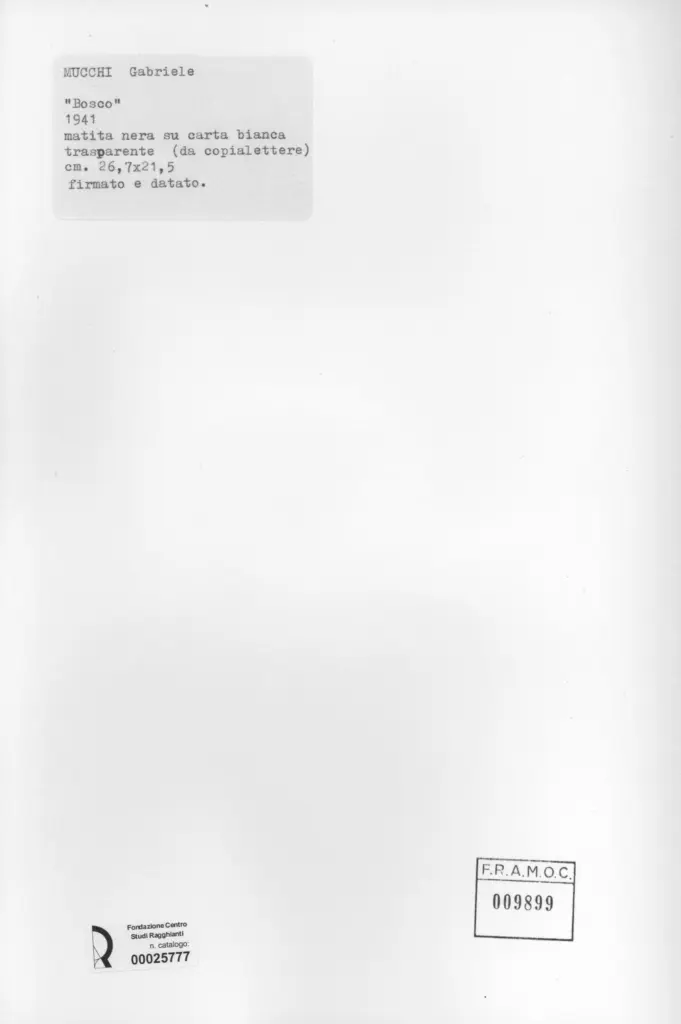 Anonimo, Anonimo , retro