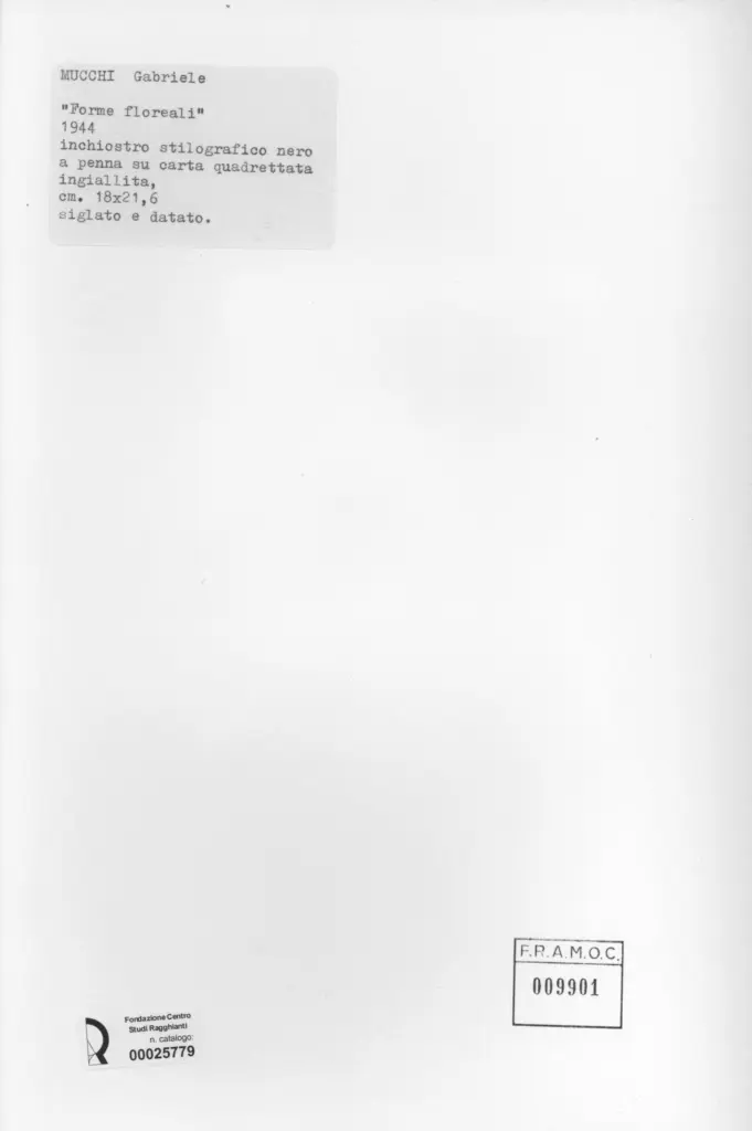 Anonimo, Anonimo , retro