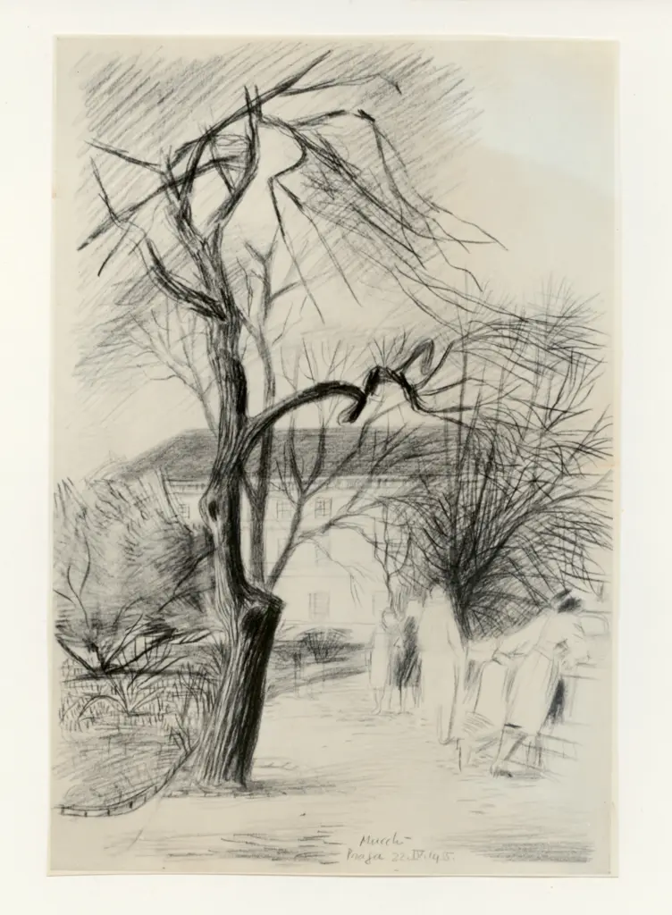 Anonimo, Anonimo , fronte