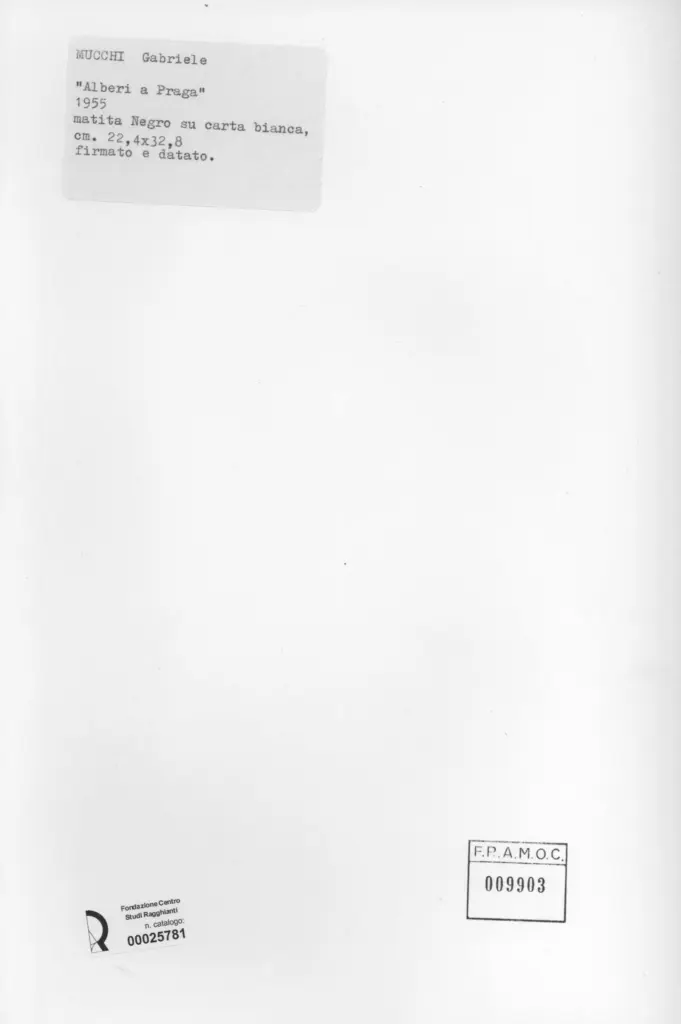 Anonimo, Anonimo , retro