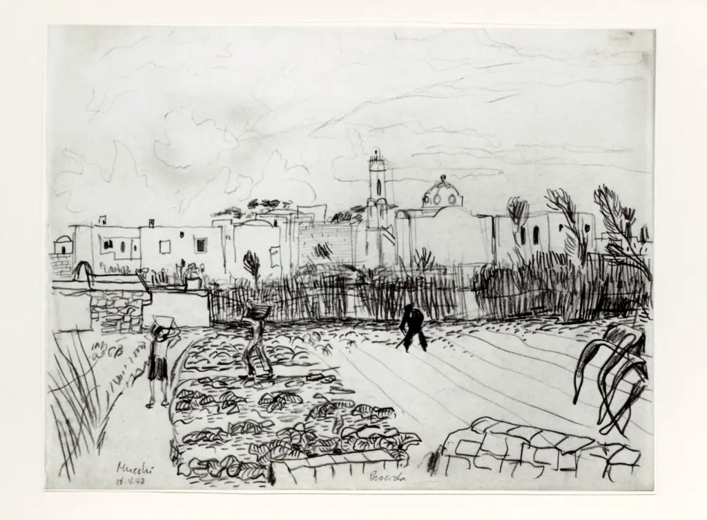 Anonimo, Anonimo , fronte