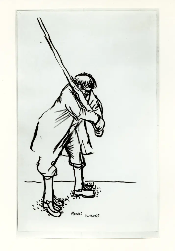 Anonimo, Anonimo , fronte