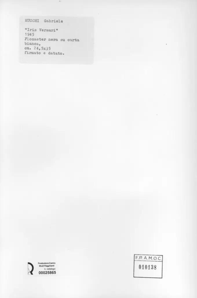 Anonimo, Anonimo , retro