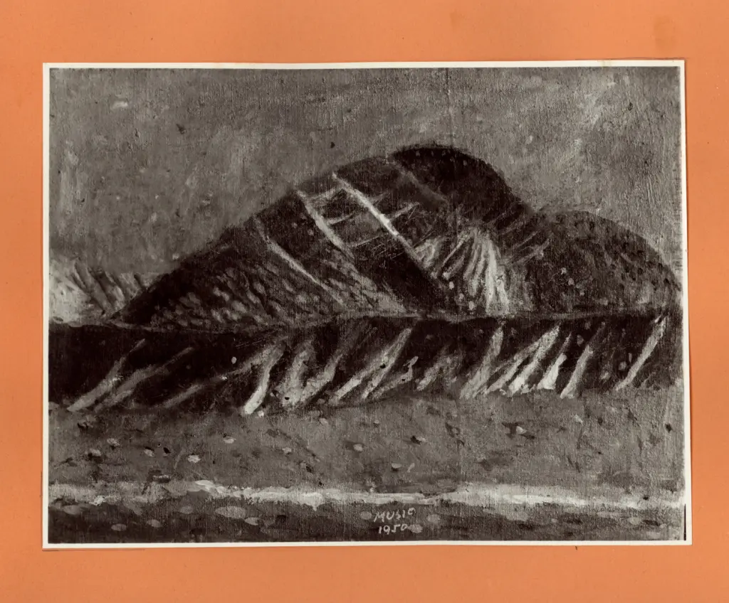 Anonimo, Anonimo , fronte